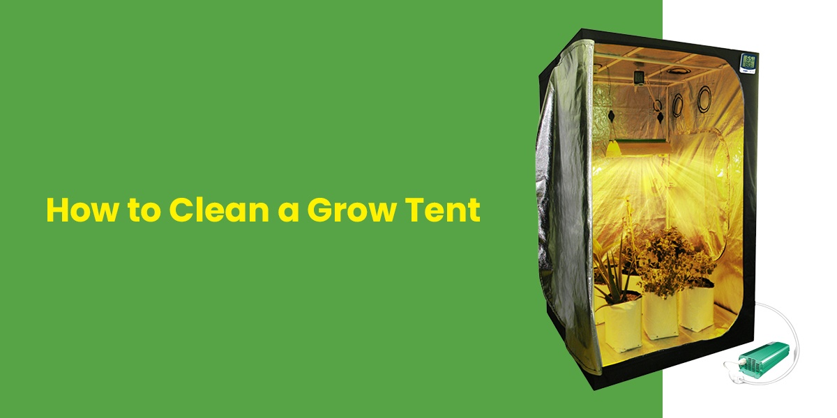 header for tent cleaning