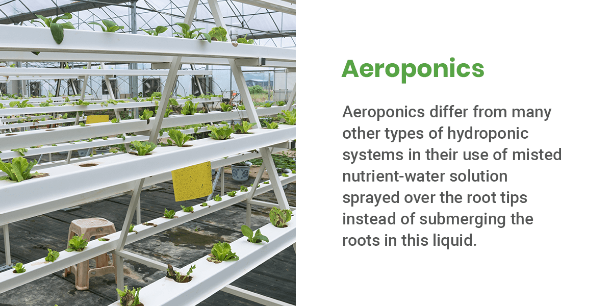 Aeroponics