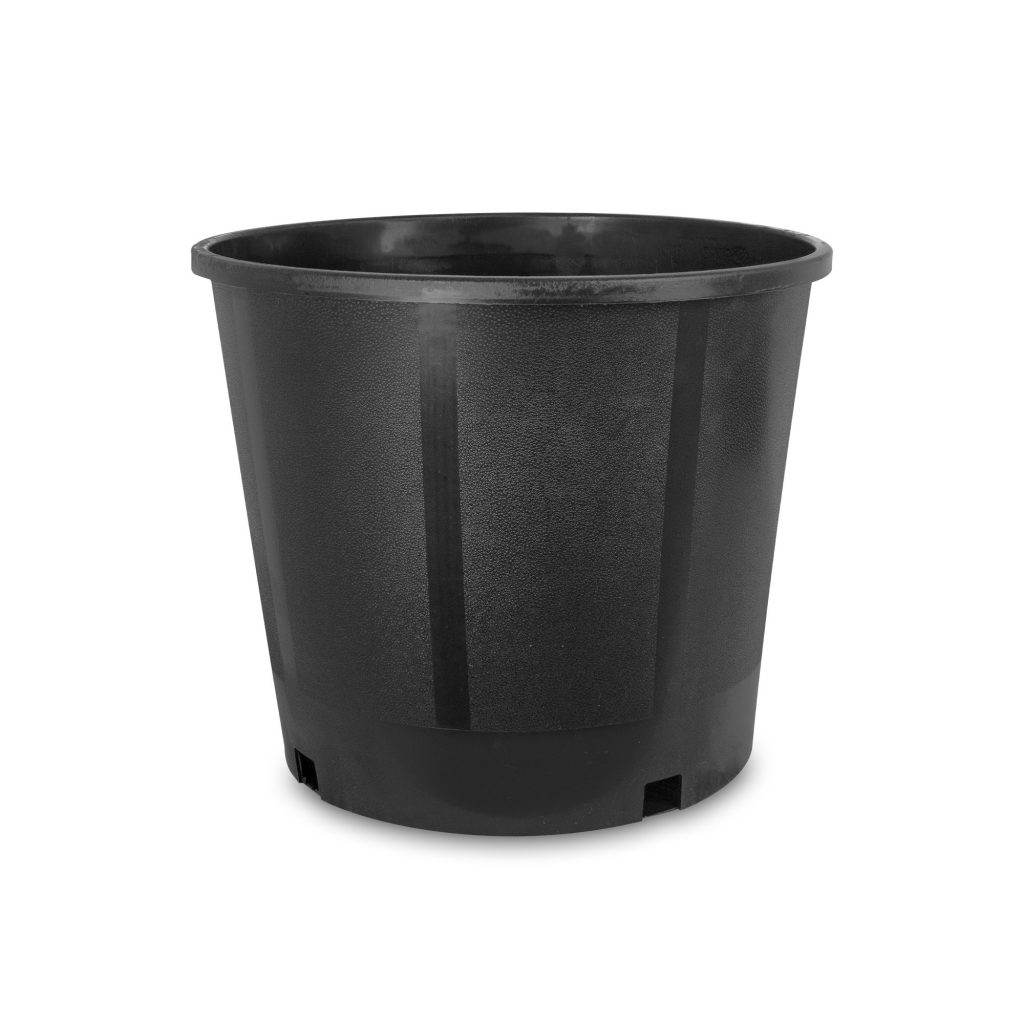 Black,Brown Polypropylene 3 Inch Nursery Pot, Rs 7 /piece Futura Tech