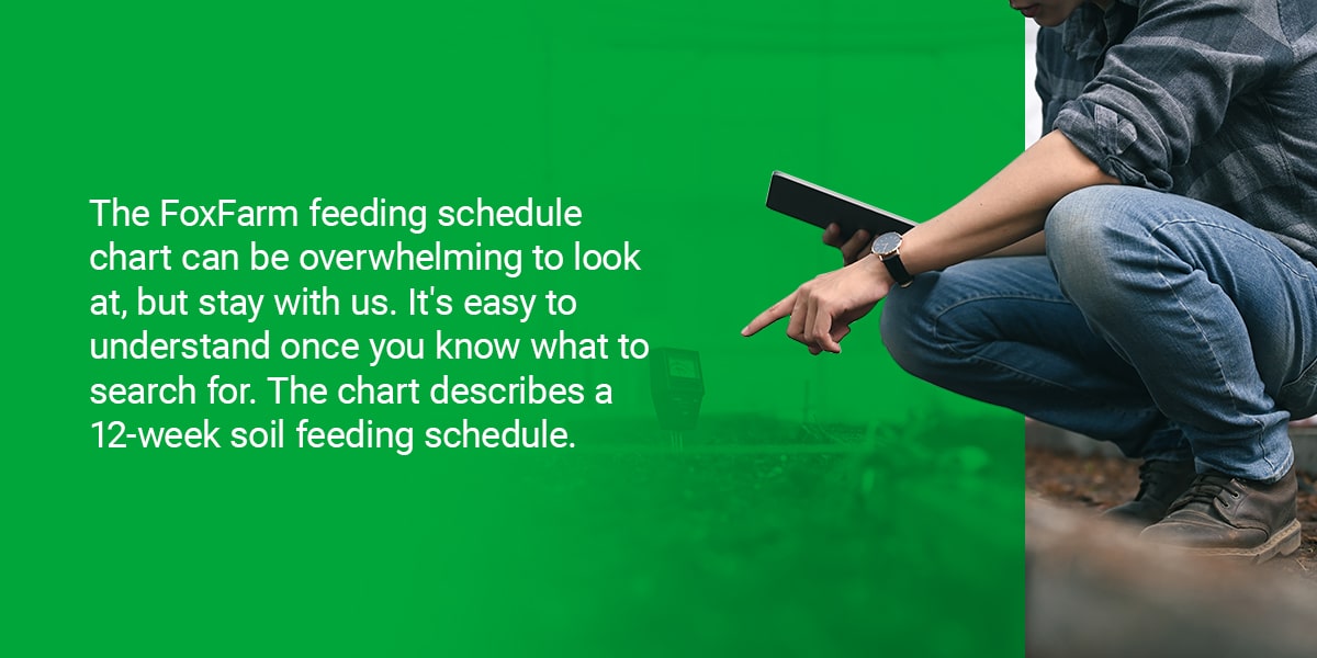 How Do I Use the FoxFarm Feeding Schedule?