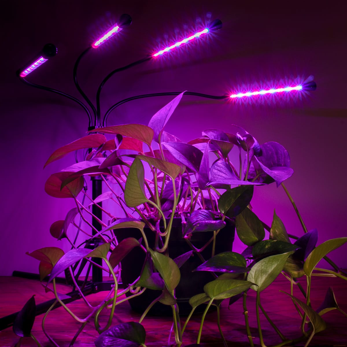 AgroMax Homeglow Flex 4 LED Grow Light HTG Supply