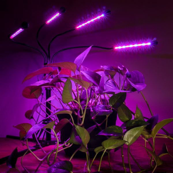 AgroMax Homeglow Flex 4 In Use