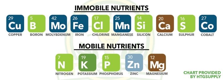 Mobile vs Immobile Nutrients