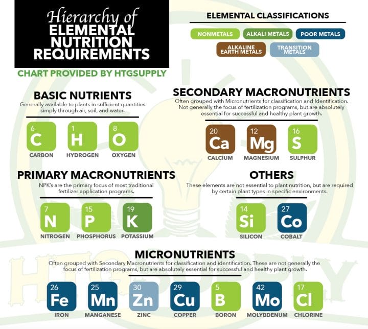 Nutrient Deficiency