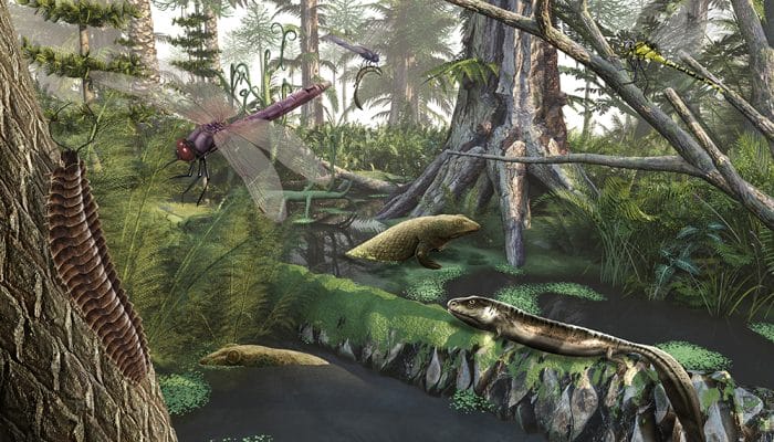 Carbon Dioxide Produced Giant Plants in Prehistoric Times
