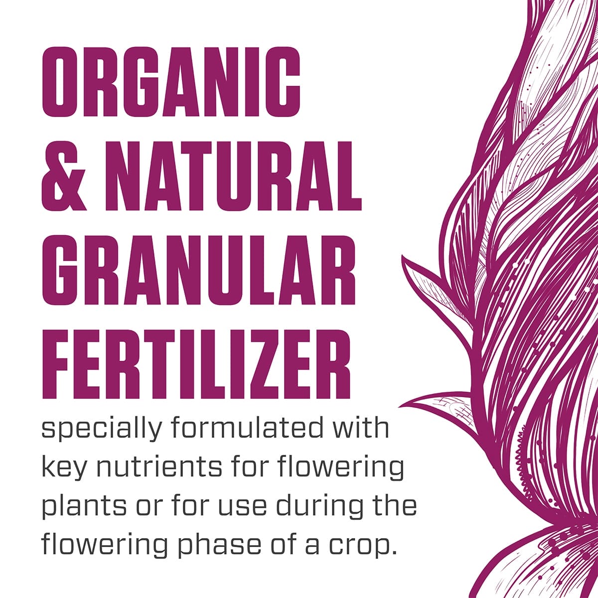 Botanicare Organicare Bloom Organic Formula